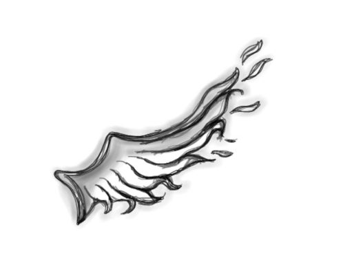 Skizze eines Flügels