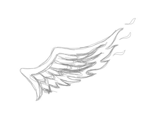 Skizze eines Flügels